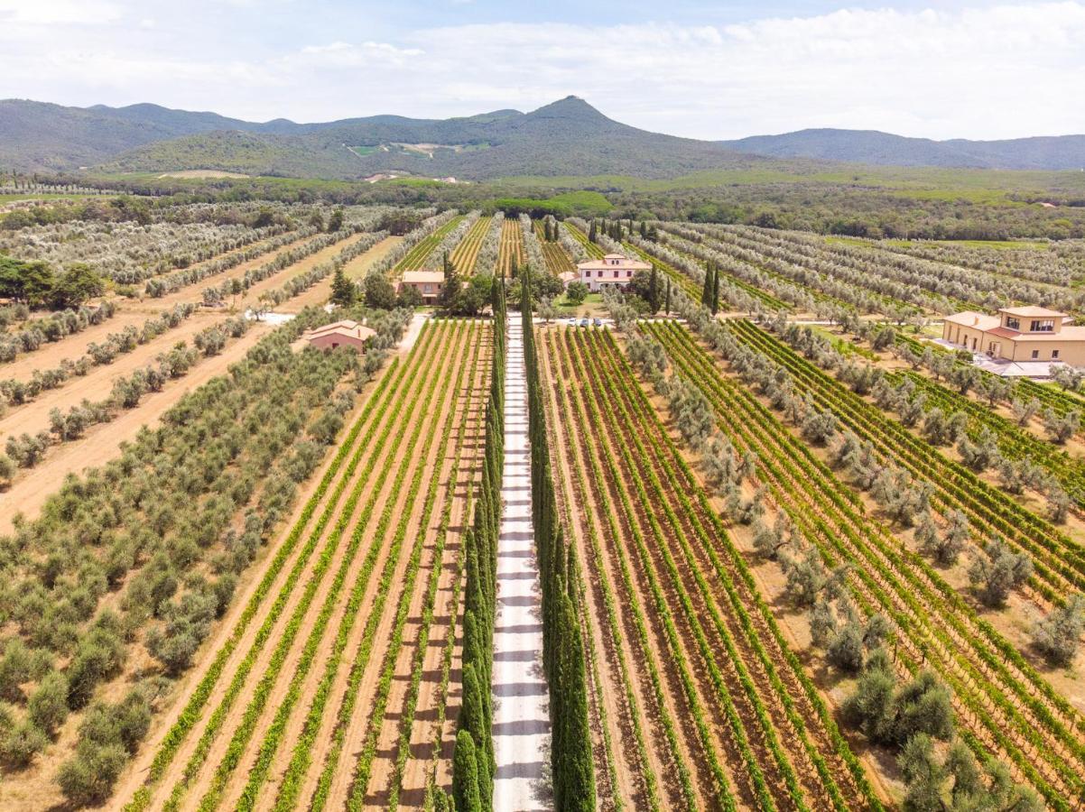 Agriturismo Tra Gli Ulivi, Chiappini Winery 볼게리 외부 사진