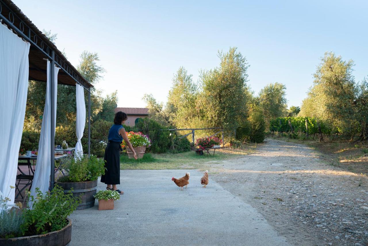 Agriturismo Tra Gli Ulivi, Chiappini Winery 볼게리 외부 사진