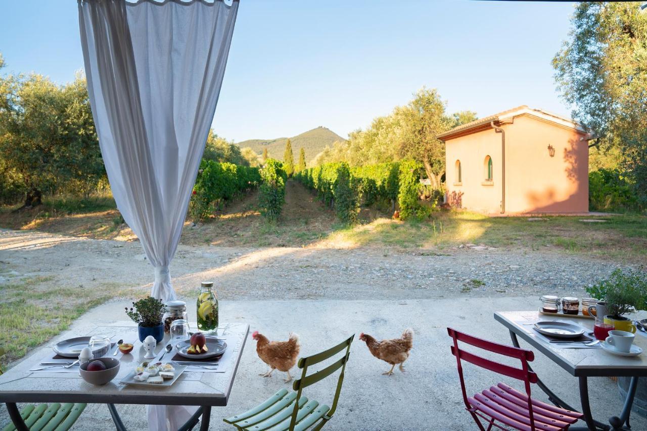 Agriturismo Tra Gli Ulivi, Chiappini Winery 볼게리 외부 사진