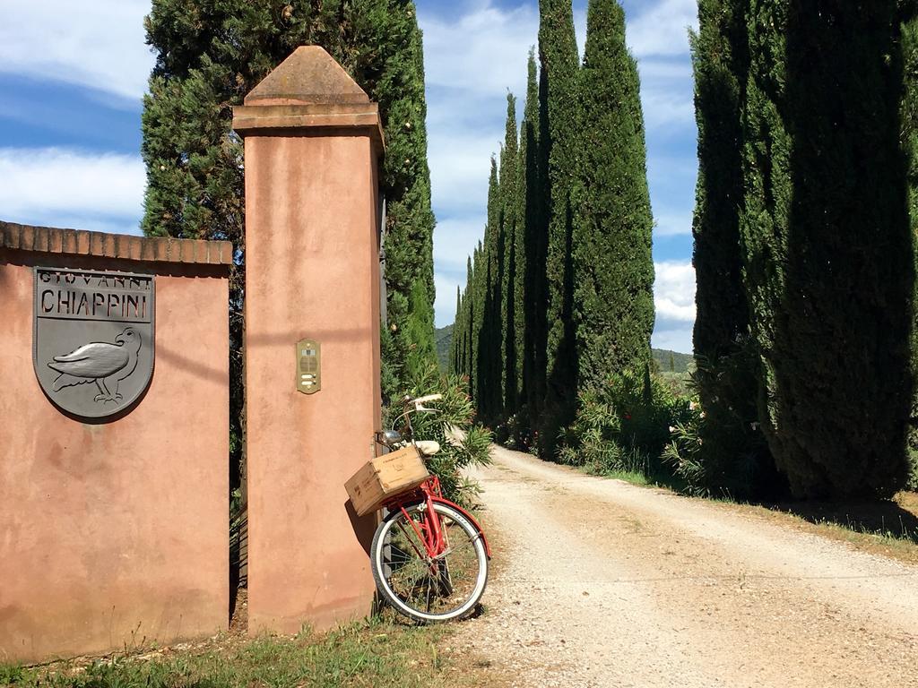 Agriturismo Tra Gli Ulivi, Chiappini Winery 볼게리 외부 사진