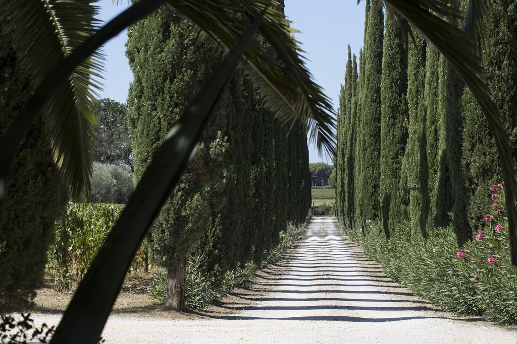 Agriturismo Tra Gli Ulivi, Chiappini Winery 볼게리 외부 사진