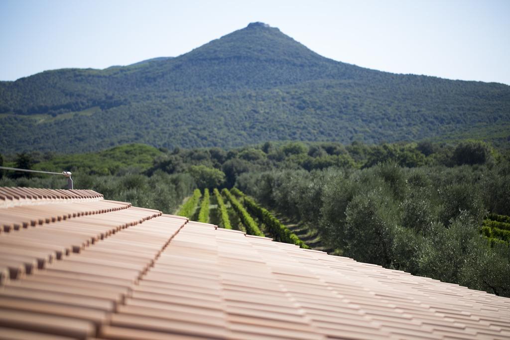 Agriturismo Tra Gli Ulivi, Chiappini Winery 볼게리 외부 사진